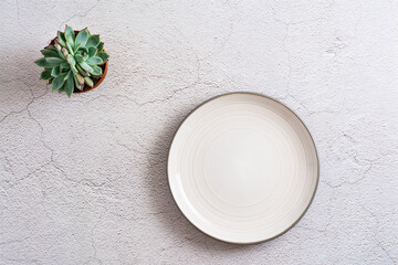 Ceramic plate and succulent on a textured gray background. Eco template. Top view.