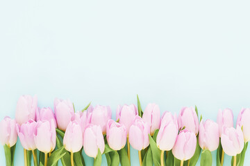 Pink tulips border on a blue background. Mothers Day, Valentines Day, birthday celebration concept
