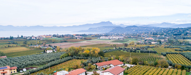 Aerial view of vineyards fields in Garda Lake, Italy