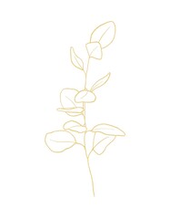 Gold line botanical illustration of branch