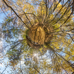 Spherical abstract aerial view in forest with clumsy branches in gold autumn. tiny planet transformation of spherical panorama 360 degrees. Curvature of space.