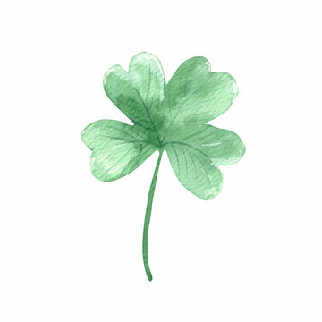 Watercolor clover leaf. Cute plant icon. Isolated on white.
