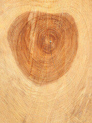 Wooden background, texture of a sawn tree with interesting figured circles and a middle with a crack, close-up