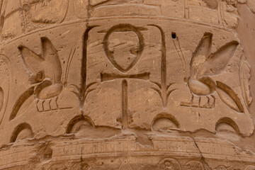 Massive columns inside beautiful Egyptian temple in Luxor with hieroglyphics, and ancient symbols....