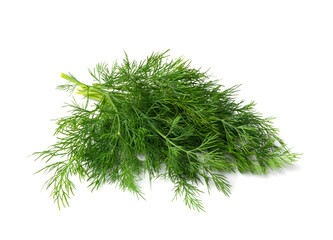Dill Sprigs Isolated