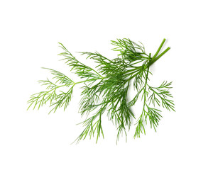 Dill Sprigs Isolated