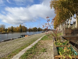 Bord de Loire à Orléans
