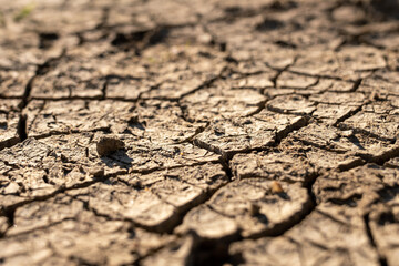 Earth dried