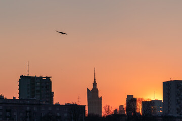 Obraz premium Sunset in warsaw near vistula river