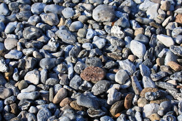 Schmale Heide mit Feuersteinfeldern