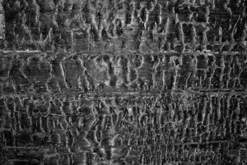 Dark black burnt hardwood surface wooden board texture