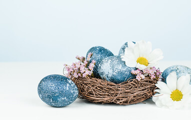 Easter eggs in a bird's nest and spring flowers on a light background
