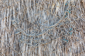 Weathered palm fronds on a palapa on a beach in Baja.