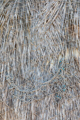 Weathered palm fronds on a palapa on a beach in Baja.