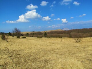 Meadows covered in dry grass and forest landscape under Vremscica hill in Primorska region of Slovenia