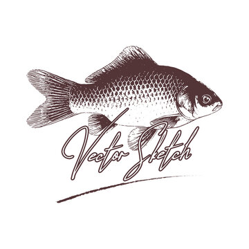 fish Vector drawing illustration black and white engrave isolated illustration