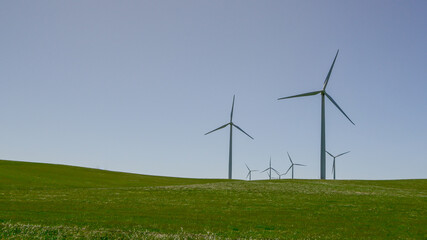 Fototapeta premium Wind turbines on a hillside in the pasture 