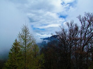 View of the peak of Goli vrh and hills above Jezersko, Slovenia with larch and beech trees in front...