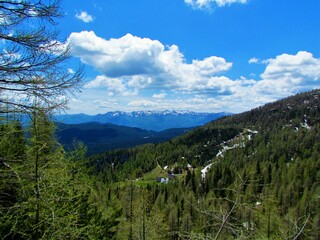 Fototapeta na wymiar Larch forest covered slopes above Lipanca in Triglav national park and Julian alps in Gorenjska, Slovenia