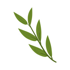Fototapeta premium green branch design