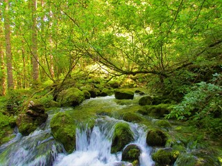 Fototapeta na wymiar Mountain stream spring in Kamniska Bistrica, Slovenia with moss covered rocks