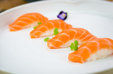 Delicious premium salmon nigiri on white handmade plate