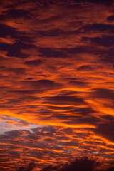 red sky background