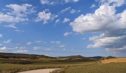 Fototapeta premium Paisajes de campos de cultivo de trigo.