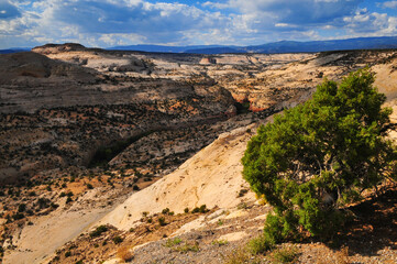 The sandstone landscape of Calf Creek Canyon from The Hogback stretch of Utah Scenic Highway 12, Grand Staircase-Escalante National Monument between Escalante and Boulder, Utah, southwest USA
