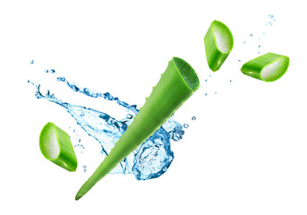 Leaf of Aloe vera plant and water splash isolated on white background. Natural extract for herbal...