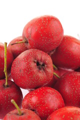 Hawthorn on a white background