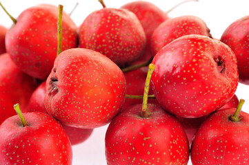Hawthorn on a white background