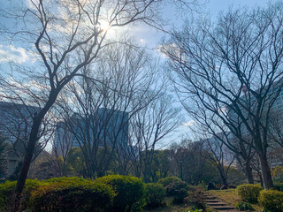 公園、広場、空