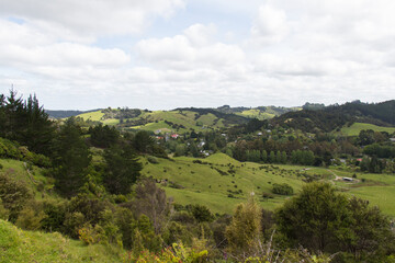 Countryside landscape with green hills, forest and country houses, Puhoi, New Zealand.