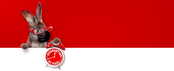 Easter rabbit with medical mask at epidemic time