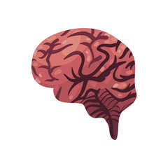 flat realistic brain design