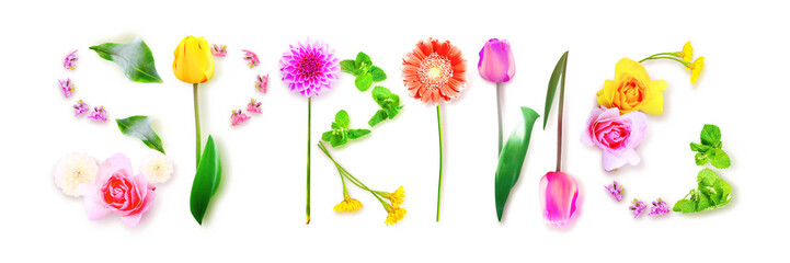 Flowers and herbs with word spring. Creative floral composition.