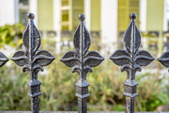 Close up of a beautiful iron fence in the Marigny neighborhood of New Orleans.