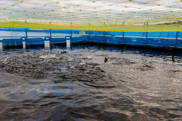 view of the fish farm from a drone aerial High quality photo