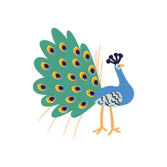 blue peacock doodle