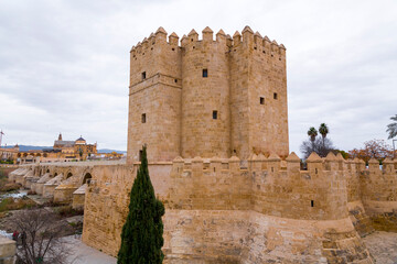 Naklejka premium The Roman Bridge and the Calahorra Tower in Cordoba, Spain