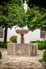 Fototapeta na wymiar Museum of Romero de Torres at the Plaza del Potro in Cordoba, Spain