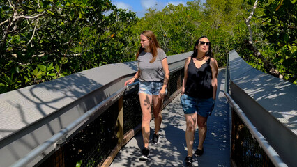 Group of people visit a Mangrove Forest in Florida - travel photography