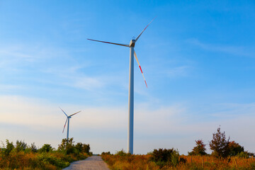 Windmills along to a country road