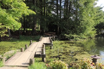 wooden bridge in the park