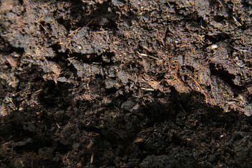Soil close-up. Black earth in the sun. The rays of the sun illuminate the garden