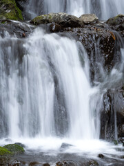 Obraz premium 日本庭園の滝