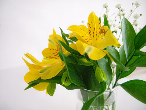 ブーケトス の画像 730 件の Stock 写真 ベクターおよびビデオ Adobe Stock