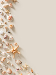 Seashells and starfish with shadows on beige pastel background at sunlight. Summer vacation concept. Nautical design. Modern flat lay shells, sea stars, stones minimal style card. Top view