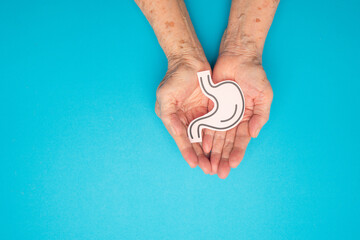 Stomach shape made from paper on a palm senior woman over a blue background